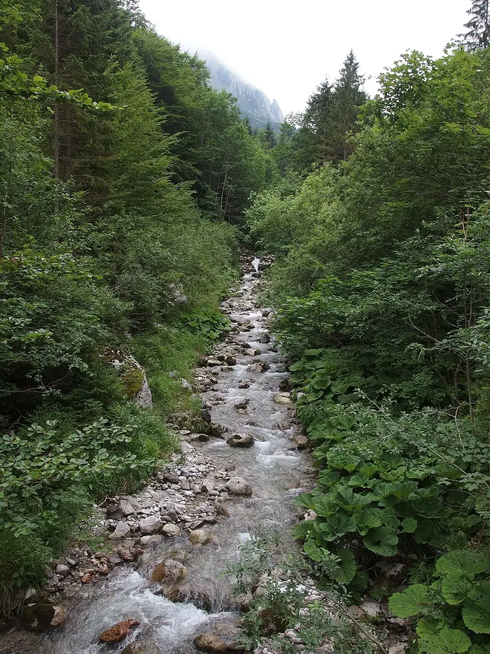 Petit temple sur la roche, sans la foule — Seseh, Où rouler depuis Cemagi