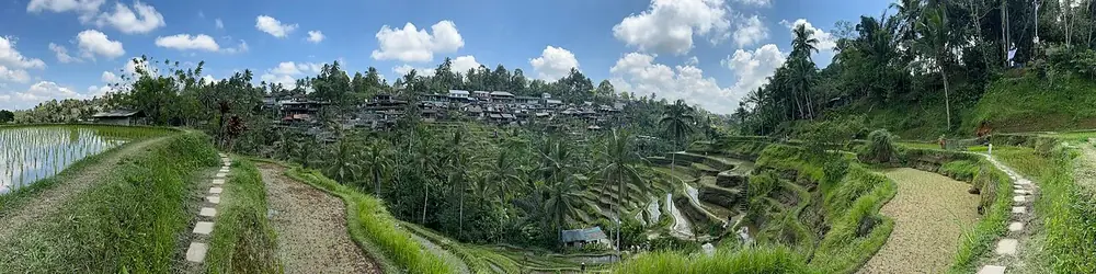 Partez tôt, la lumière est meilleure — Tegallalang Rice Terraces, Où rouler depuis Kuta