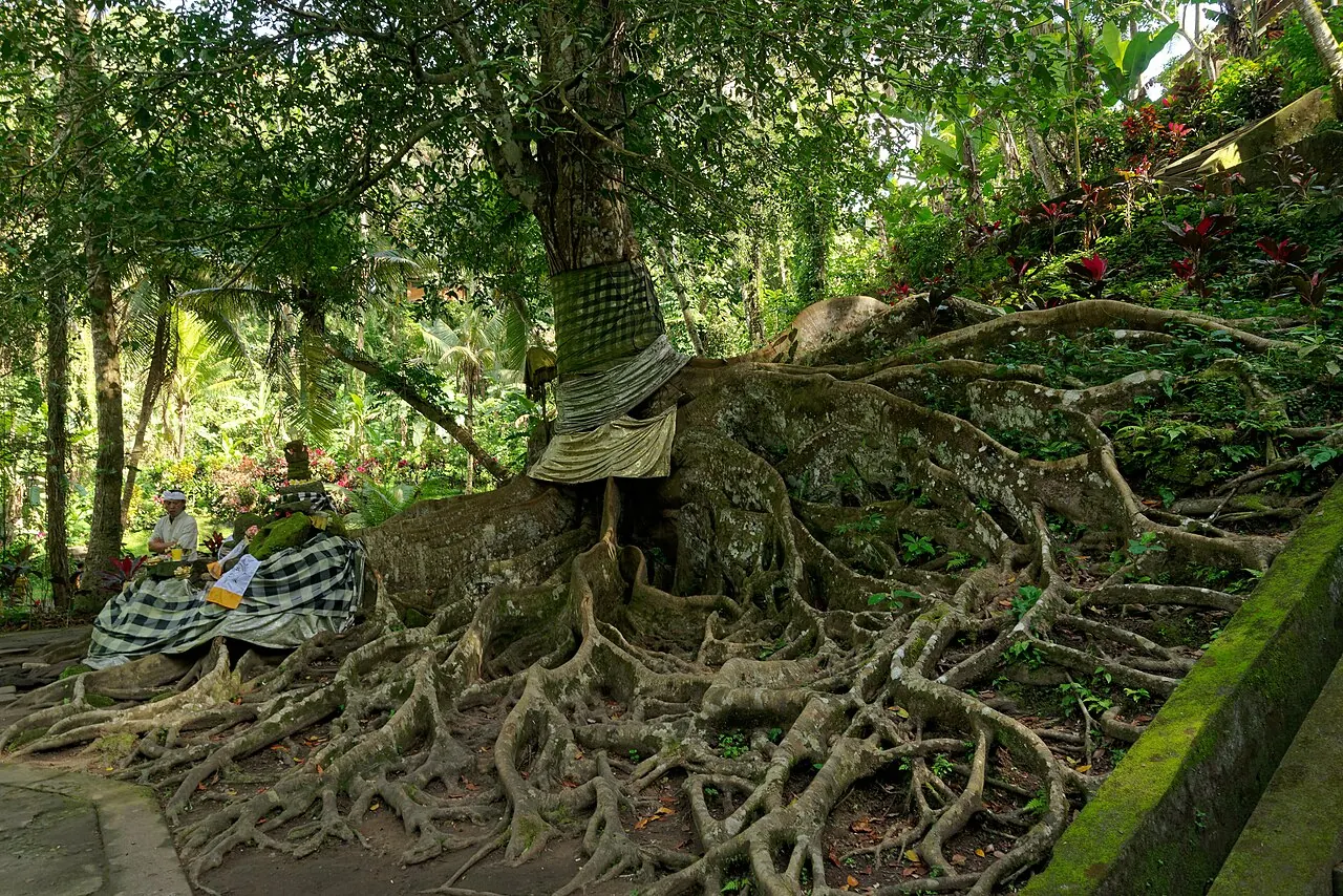 Goa Gajah, gua suci abad ke-9 dekat Lodtunduh, Ubud