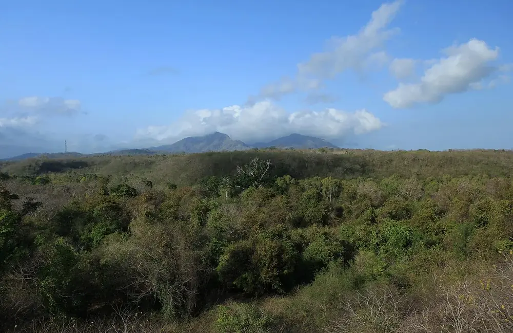 Par Gilimanuk, guettez les cerfs au bord de la route — Parc national Bali Barat, Où rouler depuis Medewi