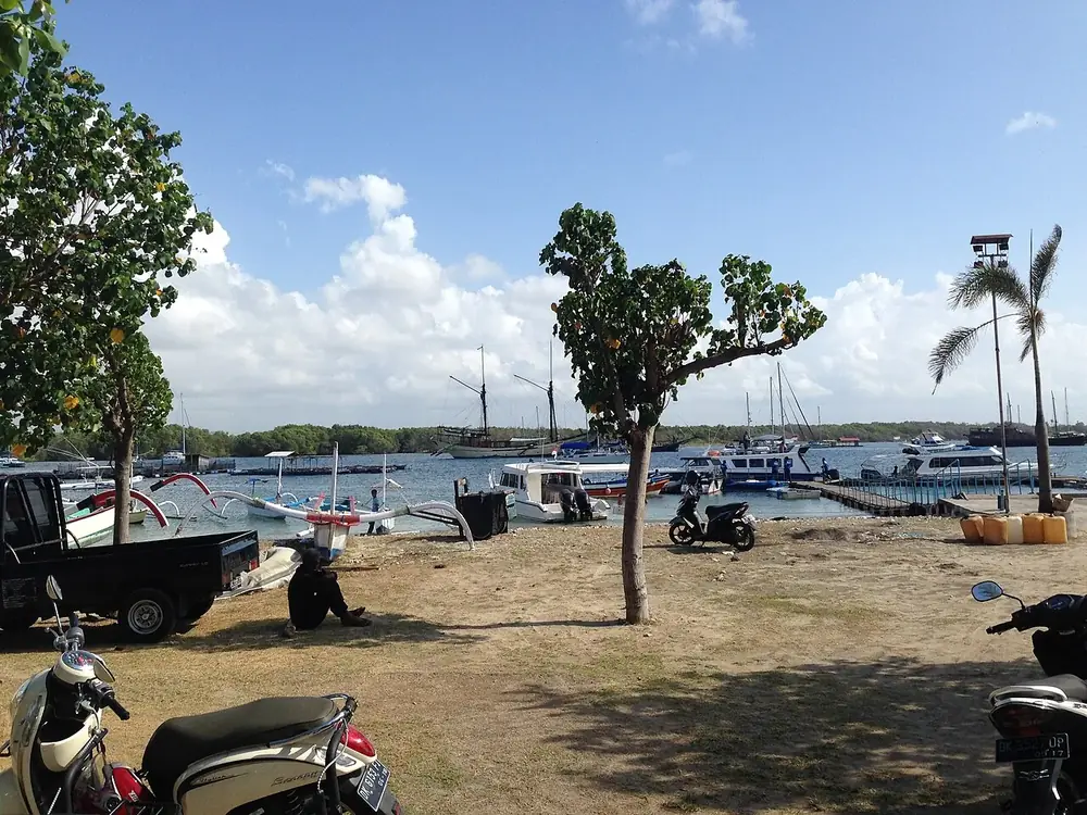 Voyez les tortues tôt, avant la chaleur — Île de Serangan, Où rouler depuis Renon