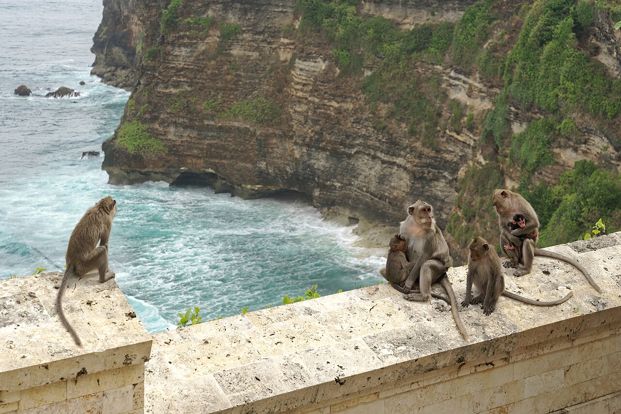Pura Uluwatu di atas tebing, 10 menit dari pusat Uluwatu